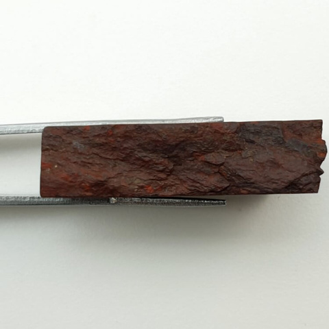 Jasper snake skin cut raw 35x18 mm no 5 Jasper snake skin cut raw 35x18 mm no 5