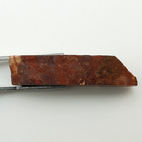 Jasper snake skin cut raw 40x12 mm no 1 Jasper snake skin cut raw 40x12 mm no 1