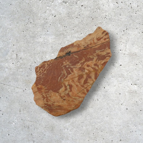 Jasper snake skin cut raw 41x23 mm no 7 Jasper snake skin cut raw 41x23 mm no 7