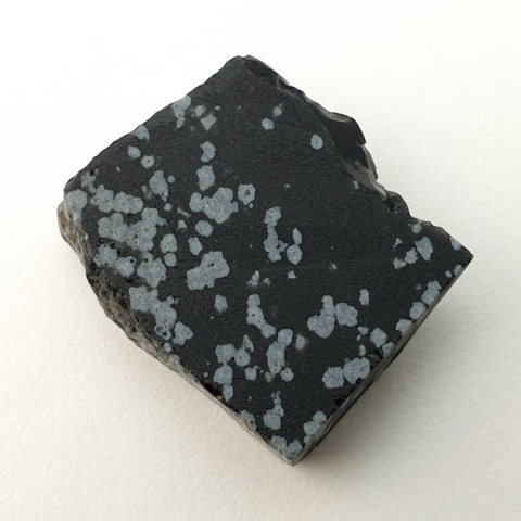 Snow Obsidian cut raw 22x19 mm No 66 Snow Obsidian cut raw 22x19 mm No 66