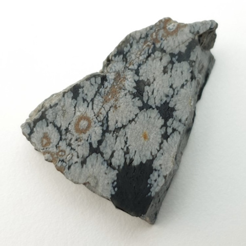 Snow obsidian cut raw 29x22 mm no 76 Snow obsidian cut raw 29x22 mm no 76