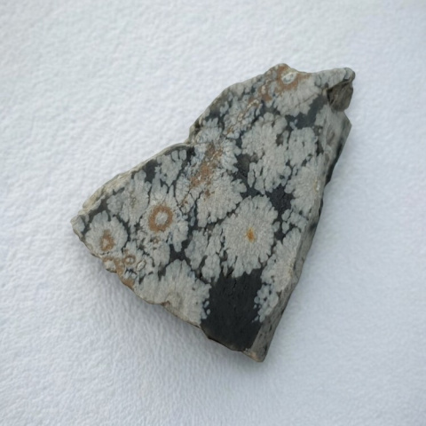 Snow obsidian cut raw 29x22 mm no 76 Snow obsidian cut raw 29x22 mm no 76