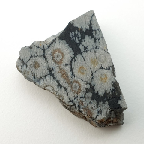 Snow obsidian cut raw 29x22 mm no 76 Snow obsidian cut raw 29x22 mm no 76
