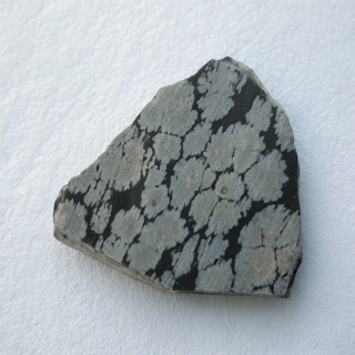 Cut snow obsidian raw 31x27 mm No. 58