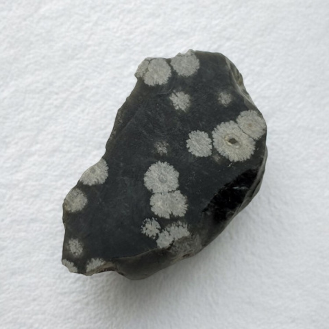 Snow obsidian cut raw 33x21 mm no 65 Snow obsidian cut raw 33x21 mm no 65