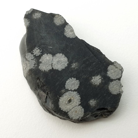 Snow obsidian cut raw 33x21 mm no 65 Snow obsidian cut raw 33x21 mm no 65