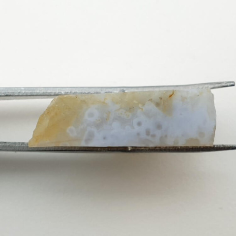 Blue lace agate cut raw 25x19 mm no 11