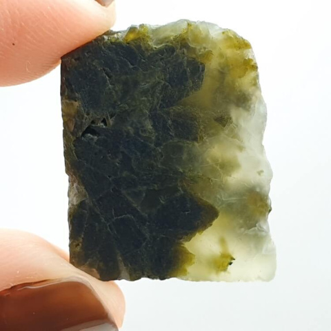 Moss agate cut raw 24x19 mm no 94 Moss agate cut raw 24x19 mm no 94
