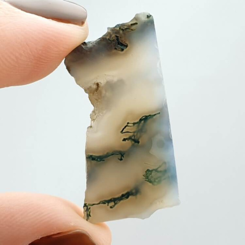 Moss agate cut raw 30x15 mm no 53 Moss agate cut raw 30x15 mm no 53