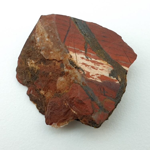 Jasper snake skin cut raw 23x22 mm no 28 Jasper snake skin cut raw 23x22 mm no 28