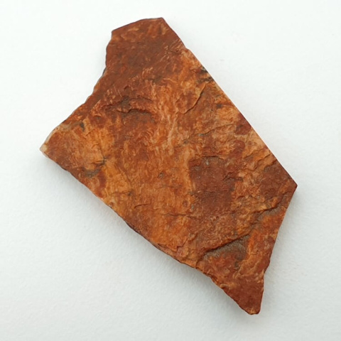 Jasper snake skin cut raw 38x23 mm no 22 Jasper snake skin cut raw 38x23 mm no 22