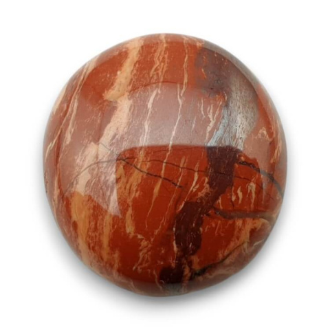 Jasper snake skin cabochon dia. 20x mm no 57 Jasper snake skin cabochon dia. 20x mm no 57