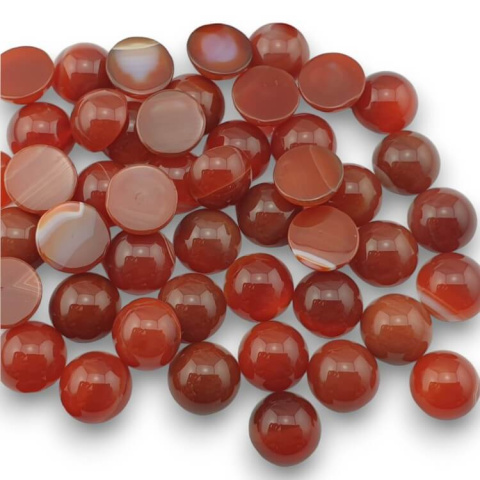Carnelian cabochon dia. 10 mm 1 pc Carnelian cabochon dia. 10 mm 1 pc