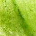 Peridote