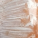 Scolecite