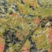 Unakite