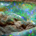Opal australijski