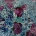 Ruby in kyanite