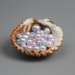 Seashell