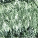 Seraphinite